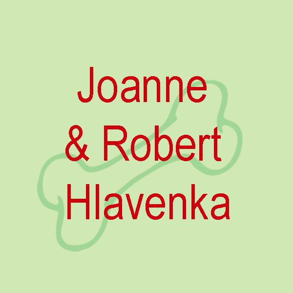 Joanne & Robert Hlavenka